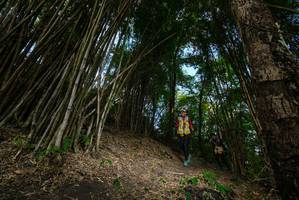 BIB: 
                            <button type="button" onclick="openModal(19396178)" class="btn btn-primary btn-sm float-right btn-popup" data-toggle="modal" data-target=".modal-high-quality">
                        <i class="fas fa-shopping-cart"></i> Add to Cart
                    </button>
                                            <button type="button" onclick="isThisMe(19396178, true)" class="btn btn-success btn-sm float-right btn-popup btn-isme hidden" data-toggle="tooltip" data-placement="bottom" title="นี่คือรูปของคุณใช่ไหม คลิกที่นี่เพื่อเอาเข้าอัลบั้ม">
                        <i class="fas fa-plus"></i> Add to album
                    </button>
                    <button type="button" onclick="isThisMe(19396178, false)" class="btn btn-warning btn-sm float-right btn-popup btn-isnotme hidden">
                        <i class="fas fa-ban"></i> Remove from album
                    </button>